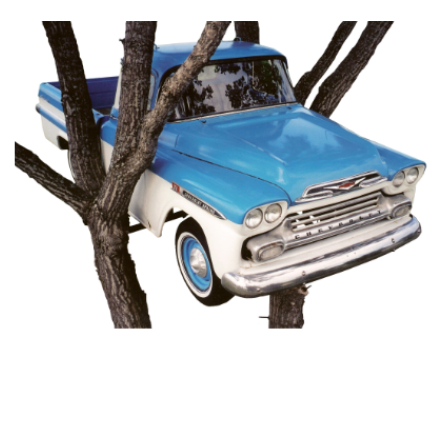 Mark Madson's World Famous Truck in the Tree