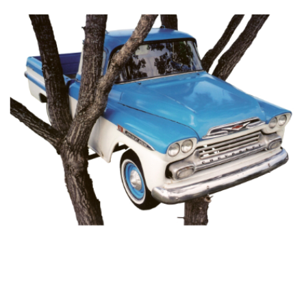 Mark Madson's World Famous Truck in the Tree